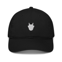 the [SIN] cap