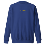 the [A3OB] pullover